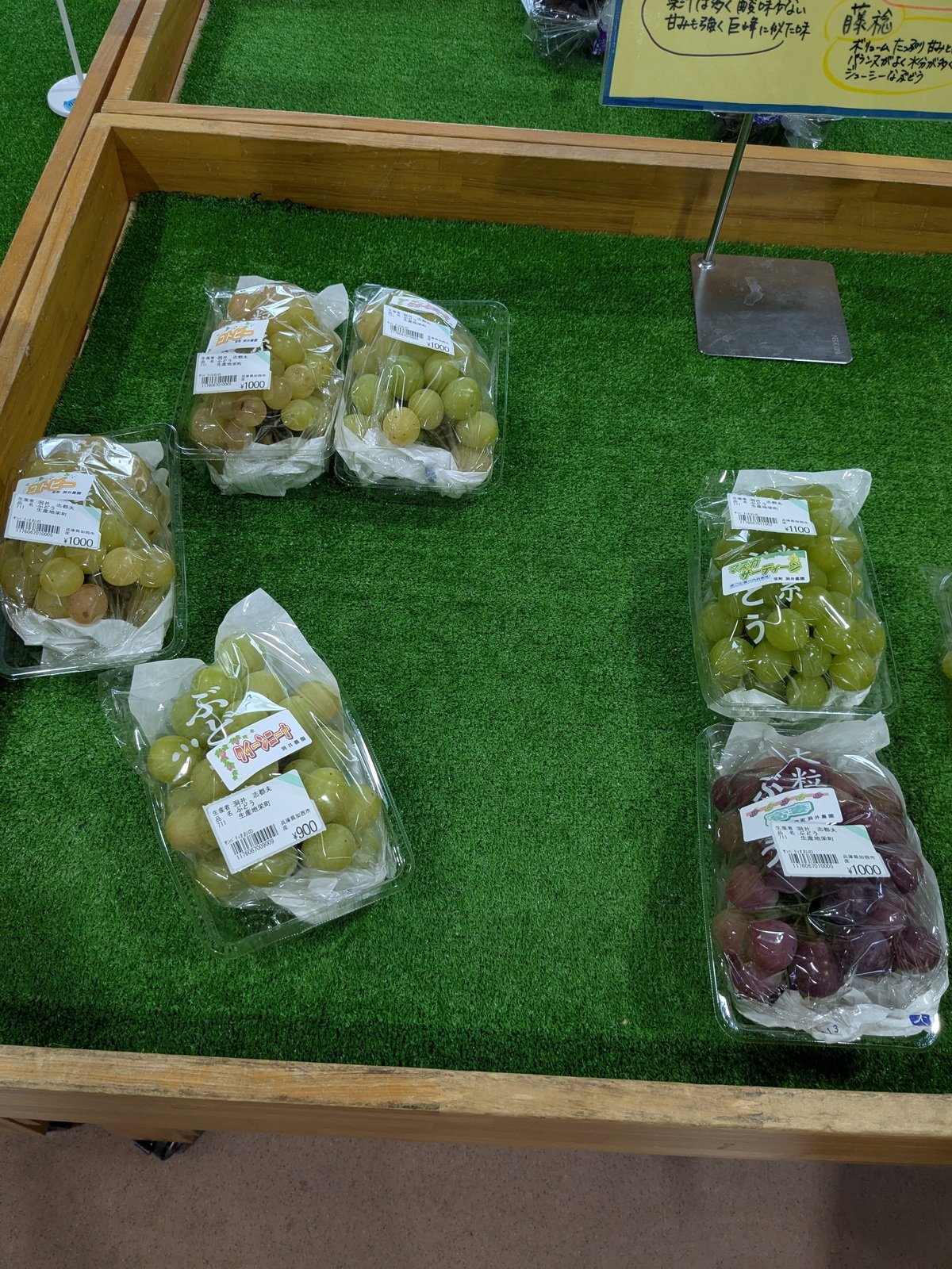 ひまわりの丘公園内のサンパティオおのでいろいろなぶどうが販売されていました