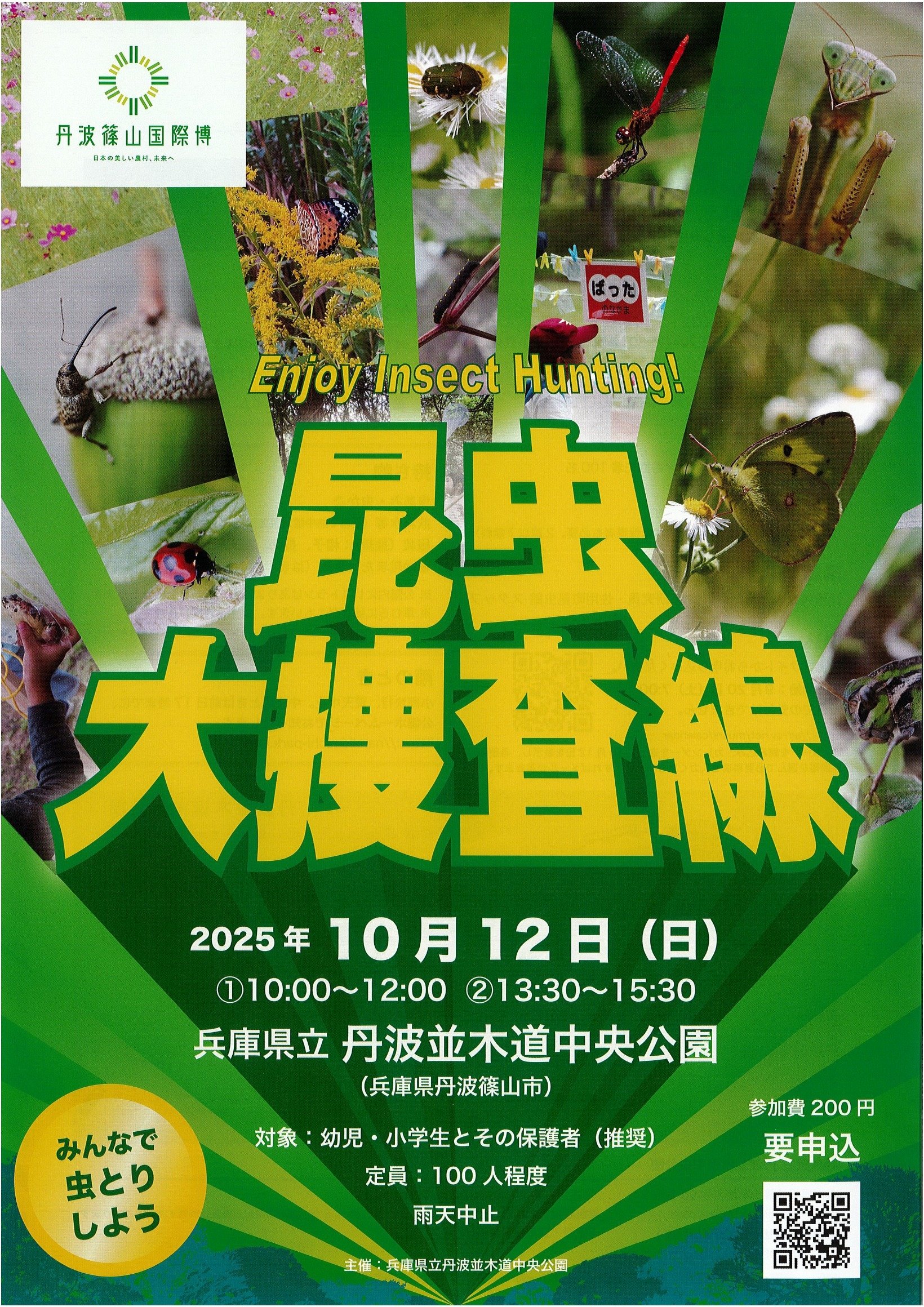 2025年10月12日(日) に昆虫大捜査線！が開催されますのイメージ画像